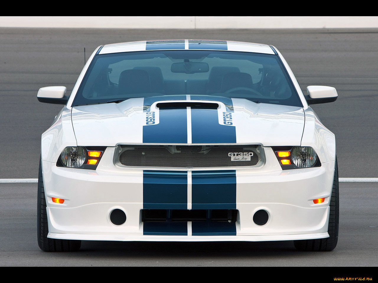 , mustang